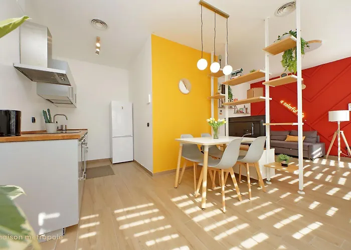 Apartment Color House, Roof Garden & Parking Rom